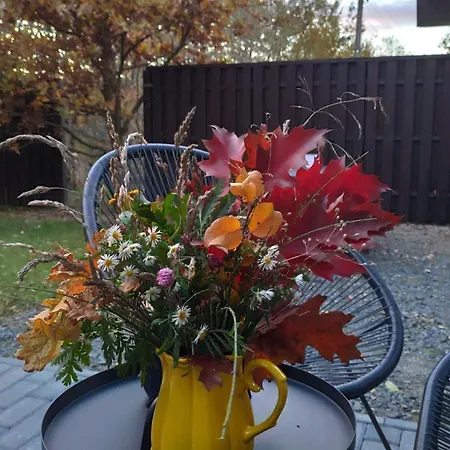 Dom wakacyjny Osada Mrożynka Rebiszow