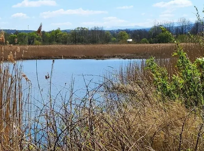 Holiday home Osada Mrozynka *