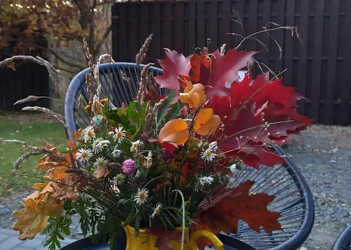 Holiday home Osada Mrozynka Rebiszow